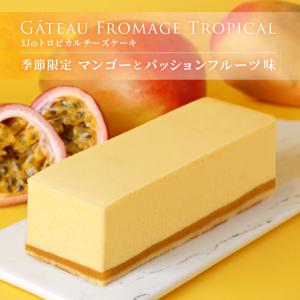 【季節限定】幻のマンゴートロピカルチーズケーキ...の詳細画像1