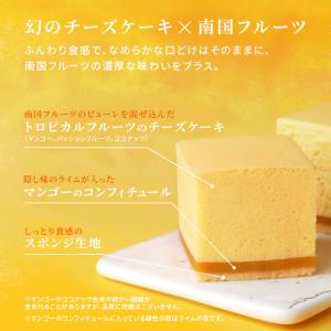 【季節限定】幻のマンゴートロピカルチーズケーキ...の詳細画像2