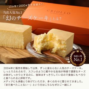 【季節限定】幻のマンゴートロピカルチーズケーキ...の詳細画像4
