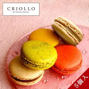 マカロン・ベーシックセット （シトロン/ヴァニラ/フレーズ/抹茶/アールグレイ）個包装 5個入【冷凍便】【2〜5営業日で出荷】