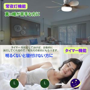 シーリングファンライト E26 壁スイッチ断電...の詳細画像3