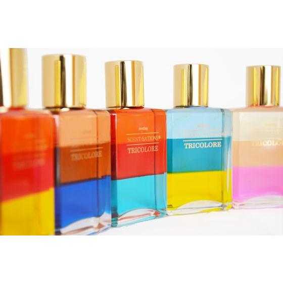 トリコロールボトル12本セット