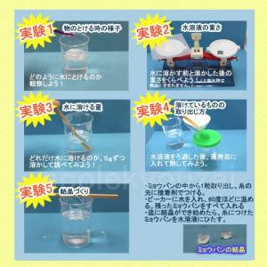 理科実験材料もののとけ方 理科自由工作キット ...の詳細画像2