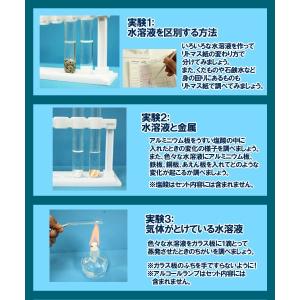 水溶液の性質実験セット 夏休み・冬休みの理科 ...の詳細画像2