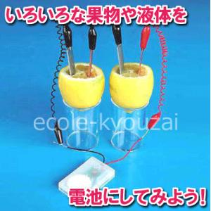 くだもの電池セット 理科自由工作キット 理科/自由研究/科学工作/夏休み/冬休み/小学生/理科実験/...