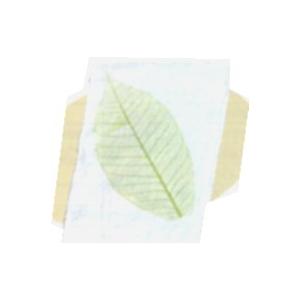 工作キット 紙すきセット(ハガキサイズ)紙すき...の詳細画像2