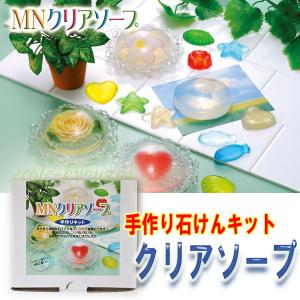 水溶液の性質実験セット オススメ高学年向け実験キット 理科 自由研究 夏休み 冬休み 小学生 理科実験 学校教材ネットショップ ヤフー店 - 通販 - Yahoo ショッピング