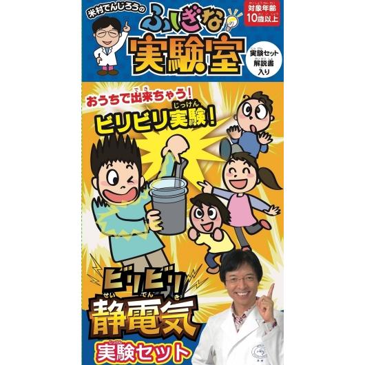 ビリビリ静電気実験セット　静電気の実験　理科実験