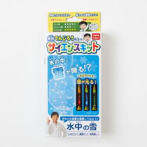 ソーラーモーターカー〔米村でんじろう先生のサイエンスキット〕 自由