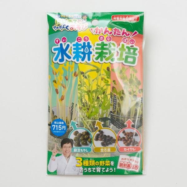 かんたん水耕栽培〔はじめてのかがくあそび〕理科実験 自由研究/夏休み/冬休み/ ネコポス