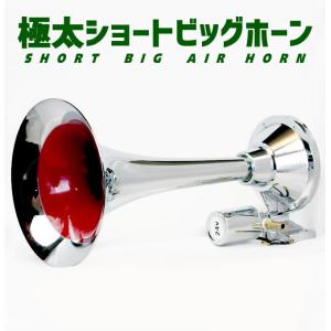 トラック用 棒タッセル＆日建製コンボイホーンスイッチセット