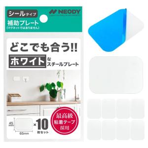 NEODY スチールプレート マグネット 白い マグネットシート 10枚セット STEEL PLATE (65*45*8mm) SP-010｜ecolife-market