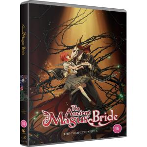 魔法使いの嫁 第1期 全24話 DVD 598...の詳細画像2