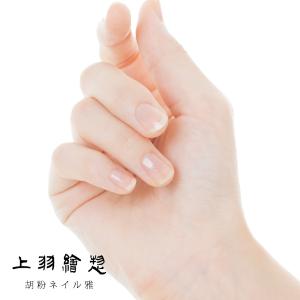 胡粉ネイル 雅 (みやび)(上羽絵惣 白光 マ...の詳細画像1