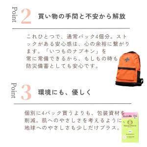 (大容量パック 64個入)ナチュラムーン 生理...の詳細画像4