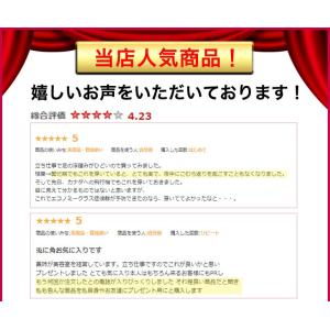 サポーター あしサポ 加圧効果のふくらはぎサポ...の詳細画像4