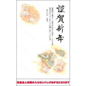 全328柄 2024年度版 辰年 年賀状印刷 100枚 フルカラー年賀状 郵政お年玉付き年賀はがき(官製年賀葉書) 201pc_100 8307895｜econvecoco