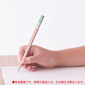 トンボ鉛筆 Tombow きれいに消えるかきか...の詳細画像2