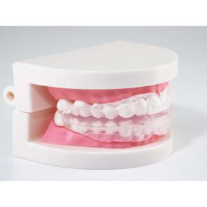 東京企画販売 いびきマウスガード TKSM-018の詳細画像3