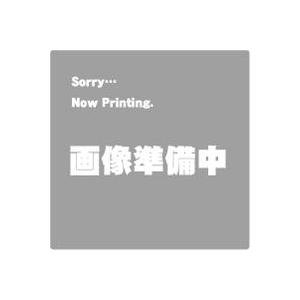 セーラー万年筆　筆記具名入れサービスsailor_naire