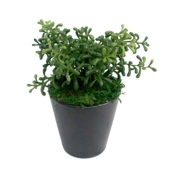 【ササガワ】 ＜人工観葉植物＞ マリオ ミニサイズ 32-8702