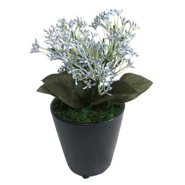 【ササガワ】 ＜人工観葉植物＞ ブルースキニア ミニサイズ 32-8703