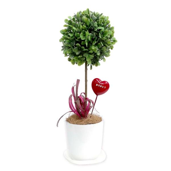 【ササガワ】 ＜人工観葉植物＞ ボックスウッド Sサイズ 32-8704