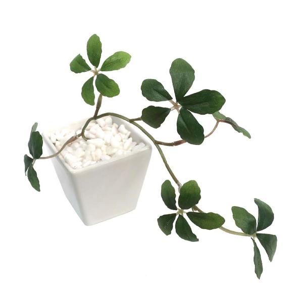 【ササガワ】 ＜人工観葉植物＞ シュガーバイン WHT Sサイズ 32-8705