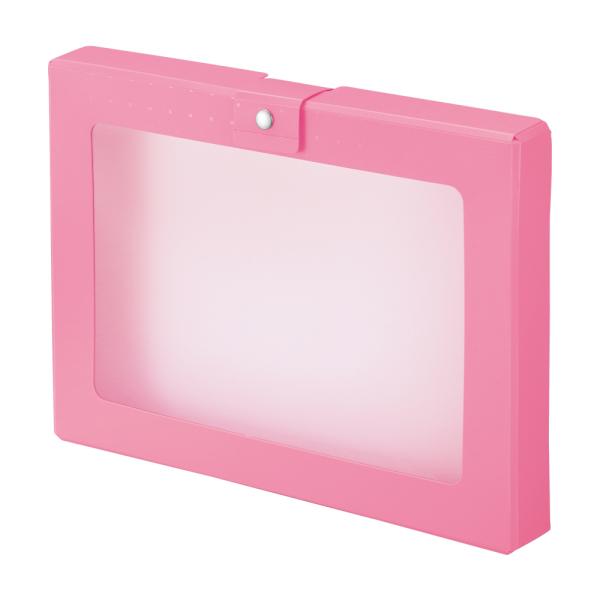 LIHIT LAB (リヒトラブ) CUBE FIZZ ハンドケース ピンク A699-12