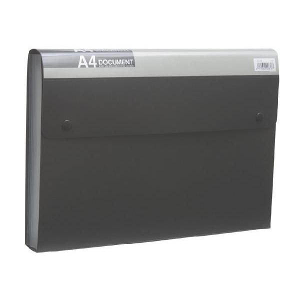 キングジム＜KING JIM＞　ドキュメントファイルエコノミータイプ　2274クロ