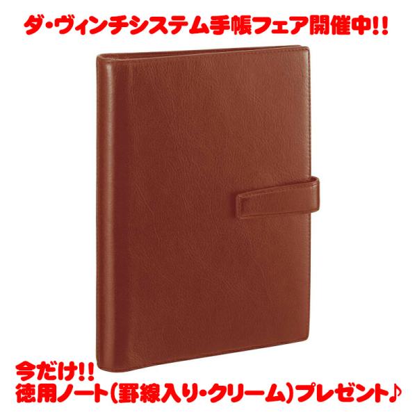 レイメイ藤井 ダ・ヴィンチシステム手帳 A5サイズ ブラウン DSA3002C  スーパーロイスレザ...