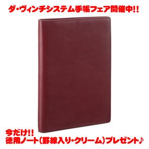レイメイ藤井 raymay ダ・ヴィンチ システム手帳 オールアース
