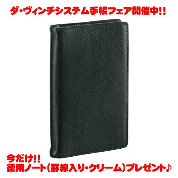 レイメイ藤井 ダ・ヴィンチシステム手帳 ジャストリフィルサイズ・ポケット ブラック JDP3009B...