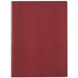 レイメイ藤井(Raymay) zeitVektor＜ツァイトベクター＞ クロスペーパー レポートパッ...