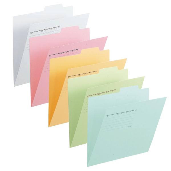 プラス(PLUS) 個別フォルダー A4-E 5色アソートパック 10冊入り FL-061IF-AP...