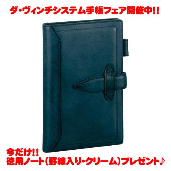 レイメイ藤井 ダ・ヴィンチ グランデ ロロマクラシック 聖書サイズシステム手帳 DB3011K ネイ...
