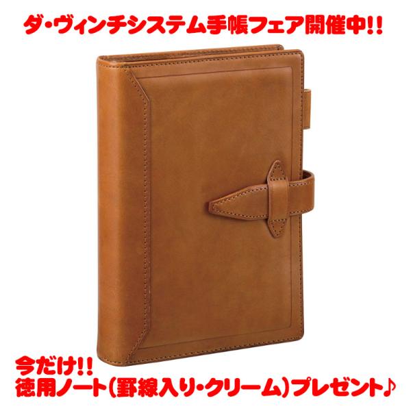 レイメイ藤井 ダ・ヴィンチ グランデ ロロマクラシック 聖書サイズシステム手帳 DB3014C ブラ...