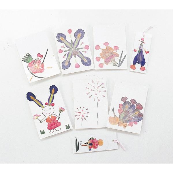 Artec(アーテック) 押し花セット #2218