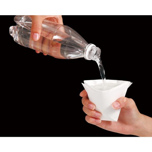 Artec(アーテック) 非常用食器折り紙 #3993