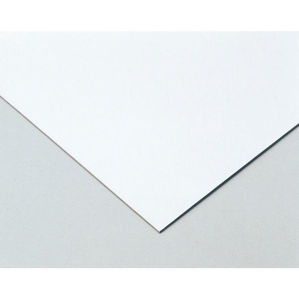 Artec(アーテック) 片面キャンバスボード 4切 #13004