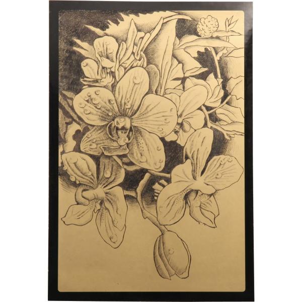 Artec(アーテック) 黒色ベーススクラッチボード　ゴールド #13123