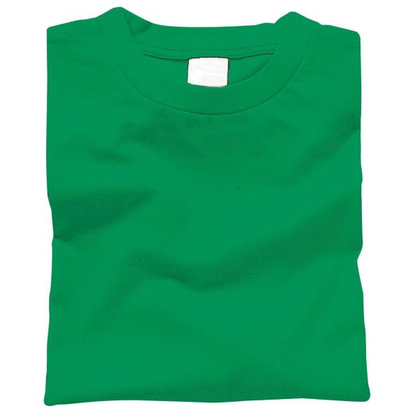 Artec(アーテック) カラーTシャツ M 025 グリーン #38713