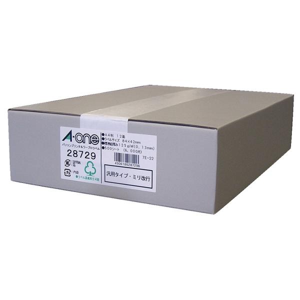 エーワン パソコンプリンタ＆ワープロラベル A4 汎用タイプ・ミリ改行  12面用 500シート 2...