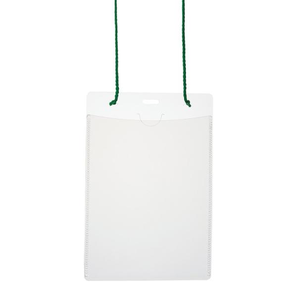 プラス(PLUS) 名札 ネームタッグ 吊り下げ式 イベント用 はがきサイズ 50枚 CT-E2 グ...