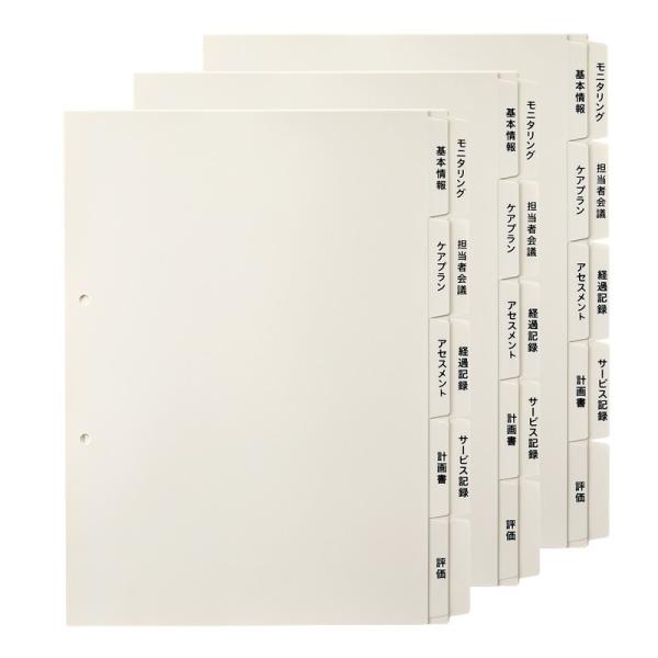 プラス(PLUS)  たすけあ 利用者カルテ 用インデックス  グレー (1セット5山×2)*10セ...