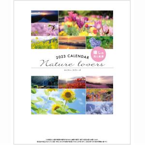 モリヤマ化成 2023年用 スマート卓上カレンダー T3-06カレンダ-