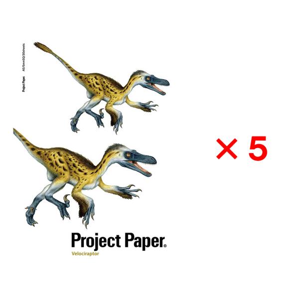 オキナ okina プロジェクトノート A5 ダイナソー 5mm方眼 ヴェロキラプトル 5冊セット ...