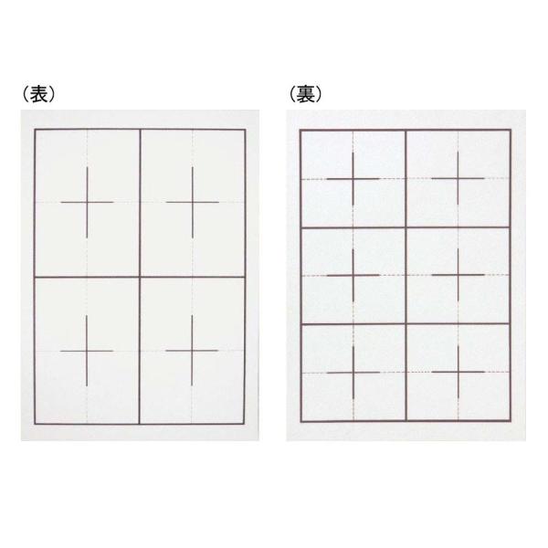 あかしや akashiya 下敷 美濃判 樹脂ラシャ 罫線入り Y-AE-01