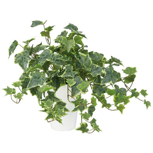 東北花材 人工樹木 グレイシアアイビー 90853 754643