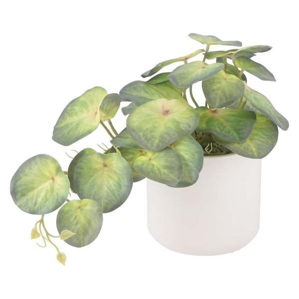 不二貿易 フェイクグリーン シンゴニウム セラミックポット グリーン 41137